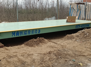 周口淮陽(yáng)區(qū)林場(chǎng)橋樹苗批發(fā)市場(chǎng)30噸地磅